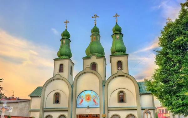 Catedral de la Theotokos de Pochayiv en Mukacheve, Ucrania — Foto de Stock