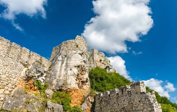 Замок Спис - объект всемирного наследия ЮНЕСКО в Словакии — стоковое фото