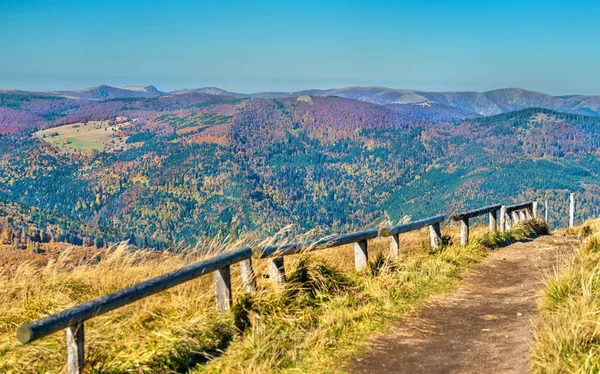 Den Col du Grand ballongen, bergspass i Vogeserna - Alsace, Frankrike — Stockfoto