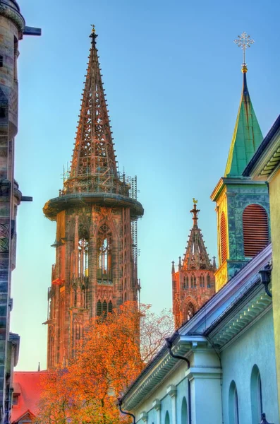 Freiburg Minster, Freiburg im Breisgau, güneybatıda Almanya Katedrali — Stok fotoğraf