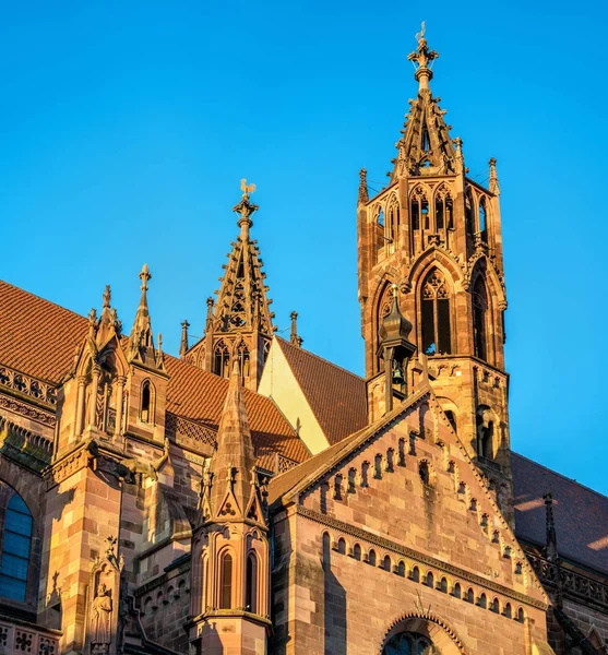 Freiburg Minster, la catedral de Freiburg im Breisgau, al suroeste de Alemania — Foto de Stock