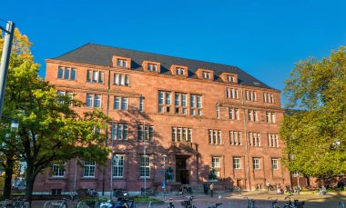 Freiburg Albert Ludwig Üniversitesi Freiburg im Breisgau, Almanya