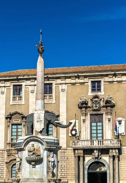 Sloní fontány a City Hall Catania, Sicílie — Stock fotografie