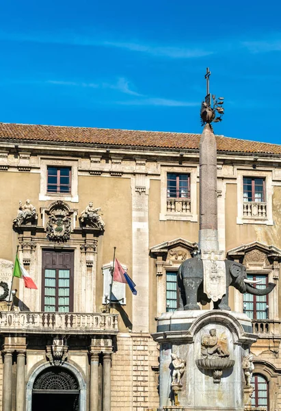 Elephant Fountain and the City Hall of Catania, Sicily — Stock Photo, Image