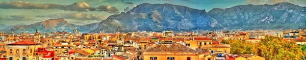 Palermo as seen from the roof of the Cathedral - Sicily — Stock Photo, Image