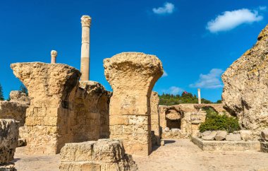 Tunus, Kartaca 'da Antoninus Hamamlarının kalıntıları.