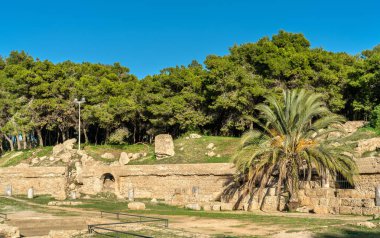 Kartaca amfitiyatro, Tunis, Tunus için bir acient Roman amphitheater