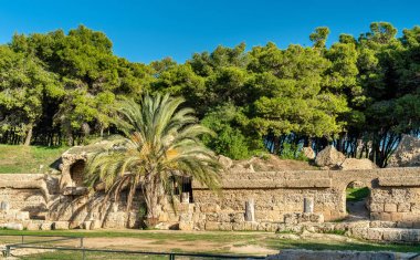Kartaca amfitiyatro, Tunis, Tunus için bir acient Roman amphitheater