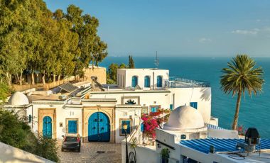 Sidi Bou Said, Tunus için geleneksel evleri