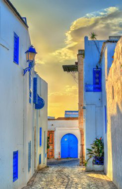 Sidi Bou Said, Tunus için geleneksel evleri