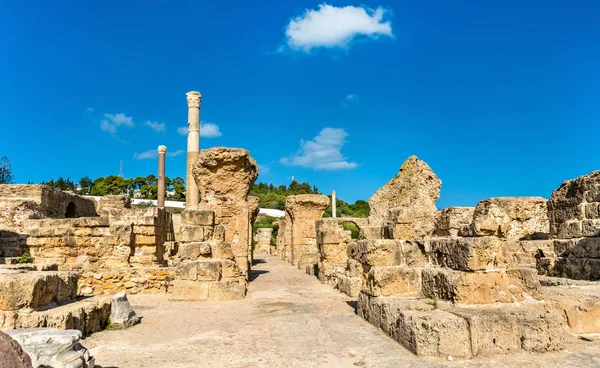Tunus, Kartaca 'da Antoninus Hamamlarının kalıntıları. — Stok fotoğraf