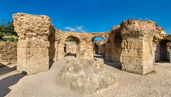 Ruins of the Baths of Antoninus in Carthage, Tunisia. — Stock Photo, Image