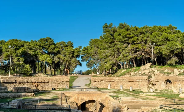 L'amphithéâtre de Carthage, un amphithéâtre romain actif à Tunis, Tunisie — Photo
