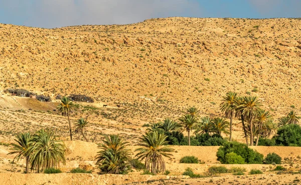 Typische tunesische Landschaft bei ksar ouled soltane in der Nähe von tataouine — Stockfoto