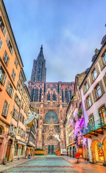 Weihnachtsdekoration in der Nähe der Kathedrale in Straßburg, Frankreich — Stockfoto