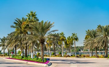 Corniche gezinti Park Doha, Katar