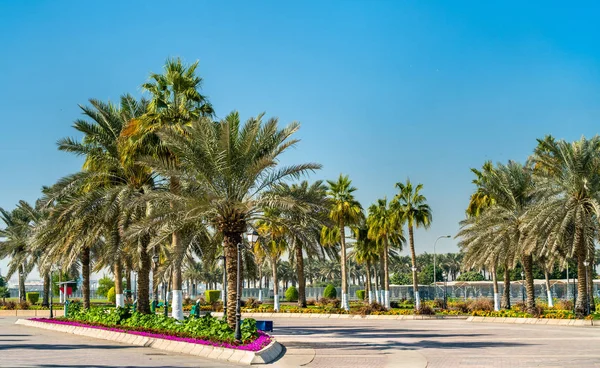 Corniche Promenade Park en Doha, Qatar — Foto de Stock