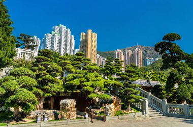 Nan Lian Bahçe, Hong Kong Çin klasik Bahçe