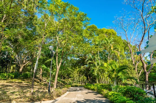 Sha Tin Park en Hong Kong, China — Foto de Stock