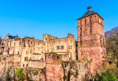 Heidelberg Castle Baden Wurttemberg Almanya Devlet kalıntıları