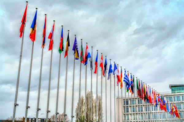 Vlajkami členských států Rady Evropy ve Štrasburku, Francie — Stock fotografie