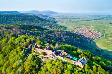 Madenburg kalede Palatinate Forest. Rhineland-Palatinate, Almanya