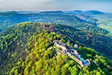 Madenburg kalede Palatinate Forest. Rhineland-Palatinate, Almanya