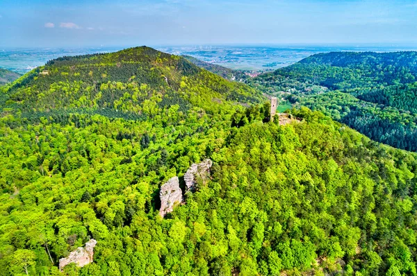 Scharfenberg Castle in the Palatinate Forest. Rhineland-Palatinate, Germany — Stock Photo, Image