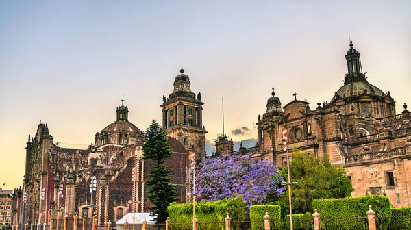 Città del Messico Cattedrale Metropolitana — Foto Stock