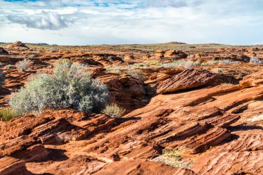 Arizona 'daki Colorado Nehri' nin Glen Kanyonu manzarası.