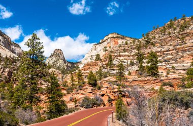Zion Ulusal Parkı 'nda Zion-Mount Carmel Otoyolu