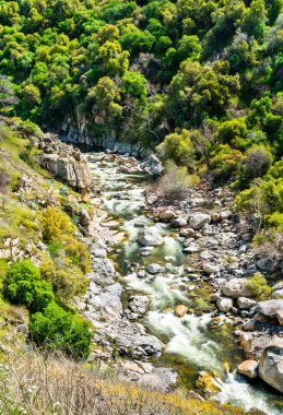 Kaliforniya, Sequoia Ulusal Parkı 'ndaki Kaweah Nehri.