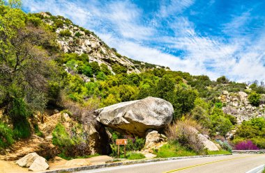 Sequoia Ulusal Parkı 'ndaki Tünel Kayası, Kaliforniya