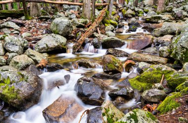 Yosemite Vadisi, Kaliforniya 'daki BridalVeil Deresi