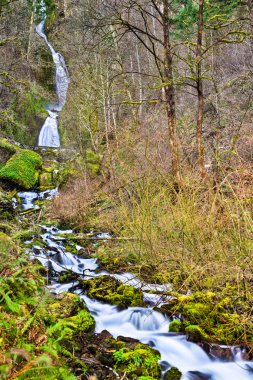 Wahkeena Şelalesi Columbia Nehri Gorge, Abd