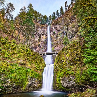 Multnomah Falls Columbia Nehri Gorge, Abd