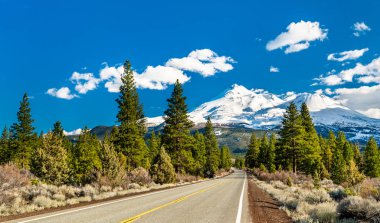 Kaliforniya'da Mounts Shasta ve Shastina'ya giden yol