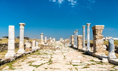Türkiye 'nin batısında bir arkeoloji sahası olan Lycus' ta Laodicea