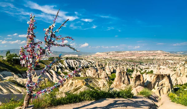 Árbol de deseos en Capadocia, Turquía — Foto de Stock