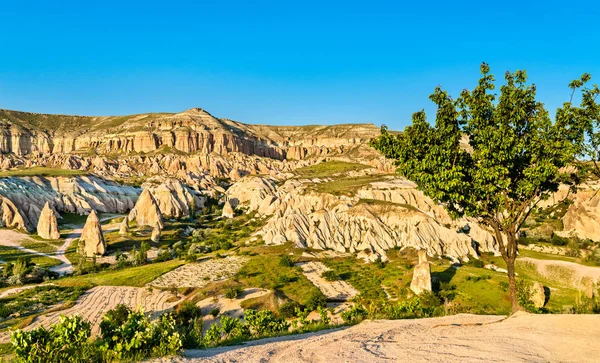 Rose Valley at Goreme National Park in Turkey — 스톡 사진
