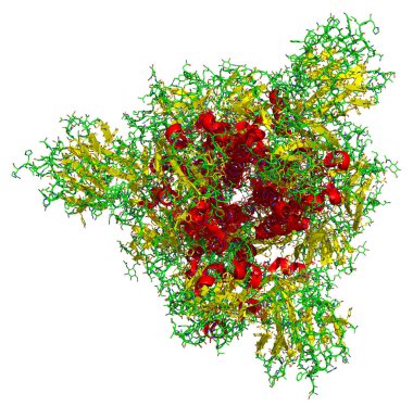 2019-ncov Coronavirus kazığının 3 boyutlu yapısı, Covid-19 aşısına karşı bir hedef. Pdb 6vsb