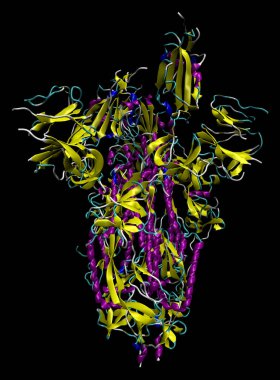 2019-ncov Coronavirus kazığının 3 boyutlu yapısı, Covid-19 aşısına karşı bir hedef. Pdb 6vsb