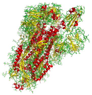 2019-ncov Coronavirus kazığının 3 boyutlu yapısı, Covid-19 aşısına karşı bir hedef. Pdb 6vsb