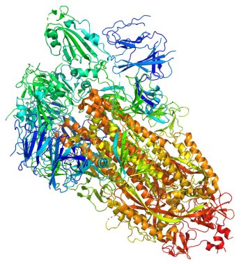 2019-ncov Coronavirus kazığının 3 boyutlu yapısı, Covid-19 aşısına karşı bir hedef. Pdb 6vsb