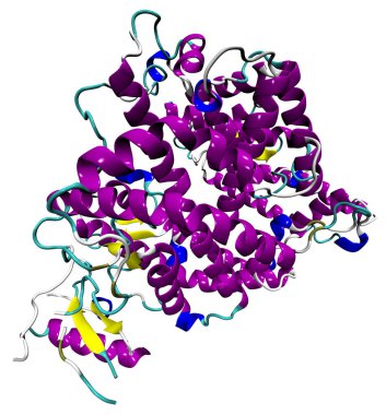İnsan ACE2 proteininin 3 boyutlu yapısı, SARS-CoV-2 koronavirüsü reseptörü COVID-19 'a neden oluyor. PDB 1R42