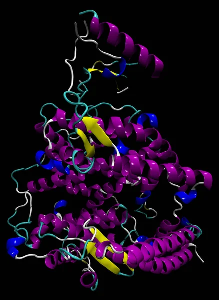 Struktura Ludzkiego Białka Ace2 Receptora Koronawirusu Sars Cov Powodującego Covid — Zdjęcie stockowe