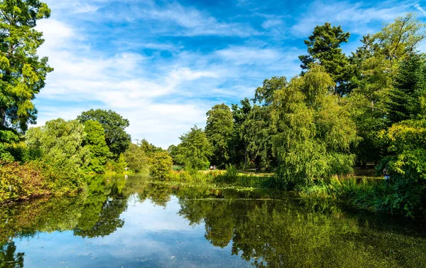 런던의 큐 식물원에 있는 호수 — 스톡 사진