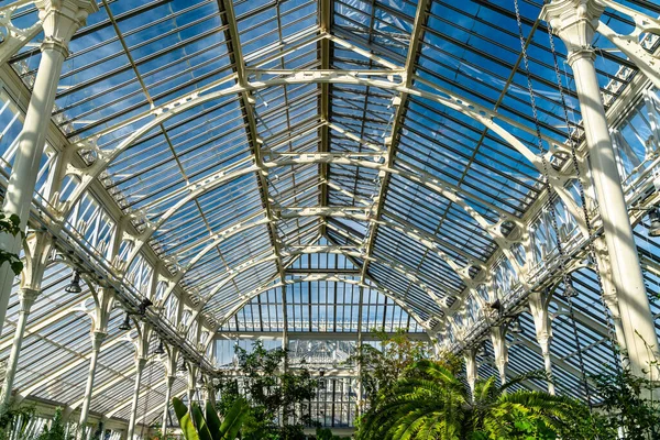 Interior del invernadero templado en Kew Gardens en Londres — Foto de Stock