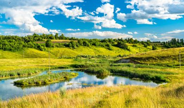 Bolshoe Gorodkovo Gölü - Kursk bölgesi, Rusya
