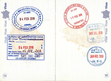 Fransız pasaportuyla Hindistan ve Tayvan göçmen damgaları.